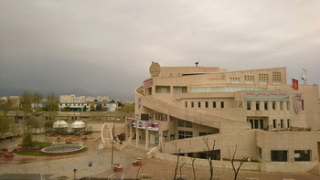 تماشا