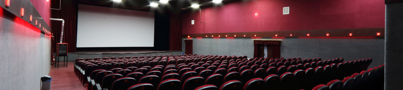 آزادی بیجار