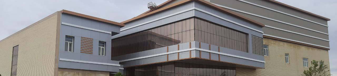 امین شهر انار