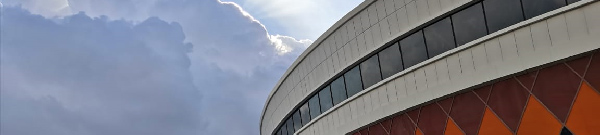 نخل لارستان