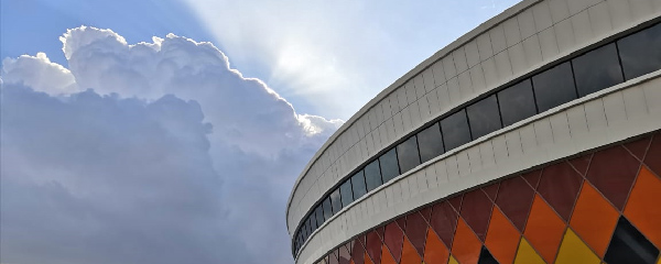 نخل لارستان